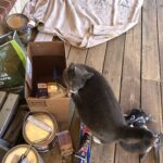 image00009