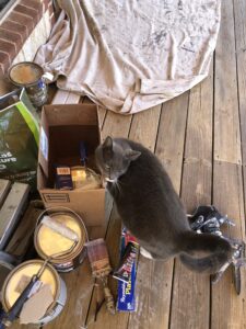 image00009