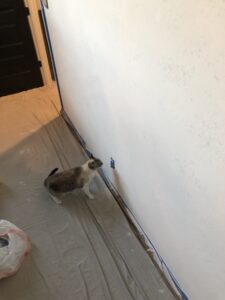 image00012